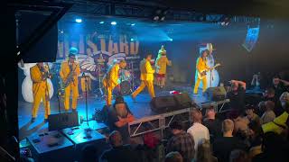 Mustard Plug: 30th Anniversary Holiday Show (Grand Rapids, MI, 12/17/21)