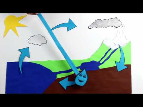 Globi & Baggy - Der Wasserkreislauf