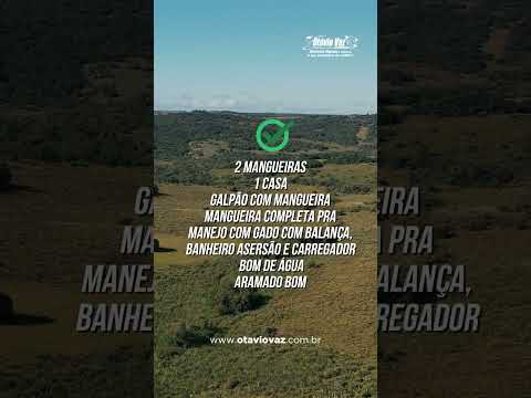 🌱 OPORTUNIDADE EM PINHEIRO MACHADO/RS – 230 HECTARES PRONTOS PARA PECUÁRIA 🐂