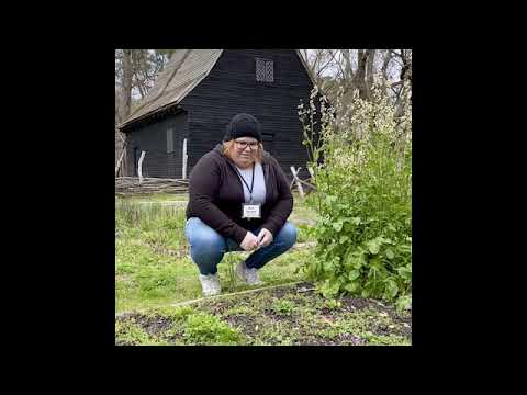 HSMC behind the scenes - in the garden