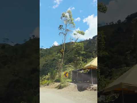 Vereda Ciató, Pueblo Rico Risaralda #ejecafeterocolombia