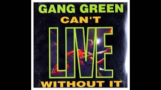 GANG GREEN - Can't Live Without It LP (1990)