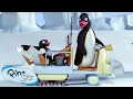 Like Father Like Pingu Pingu Official Channel Cartoons For Kids