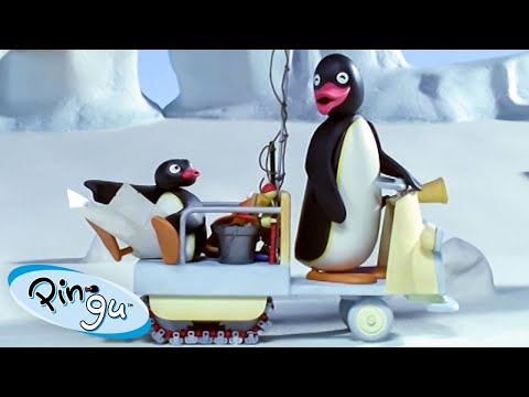 Like Father Like Pingu! π§ | Pingu β Official Channel | Cartoons For Kids - Kids (0-4), Kingdom Kids Zone - Pingu - Official Channel