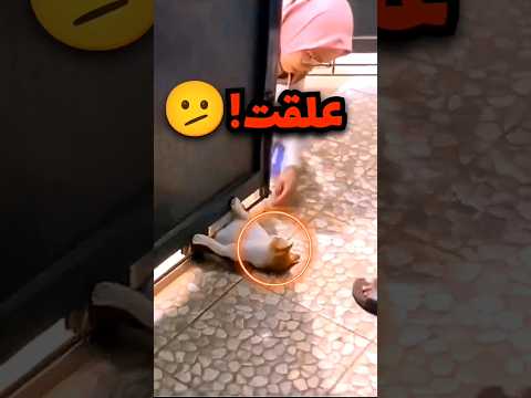 هادي البسة علقت تحت الباب بسبب نسيانها انها حامل وهذا اللي صار🙃