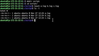 Linux - Shell script 1 : intro