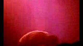 Say Anything-We Killed It