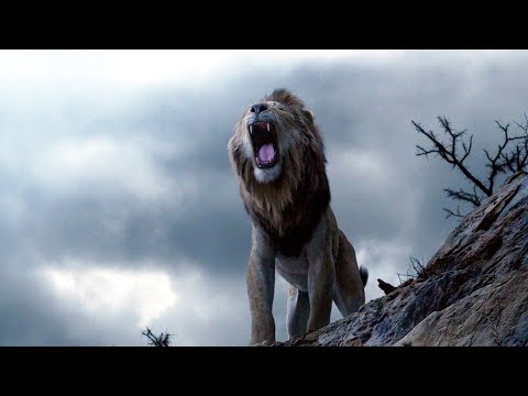 Simba confronta a Scar | El Rey León 2019 (LATINO)