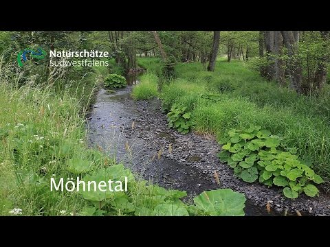Möhnetal - Naturschätze Südwestfalens