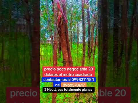 hermosa propiedad en venta en #cayambe#viral# provincia de Pichincha Ecuador