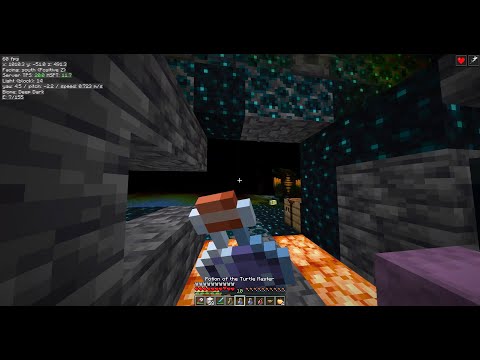 Turtle master 2 and Notch apple vs hard mode warden