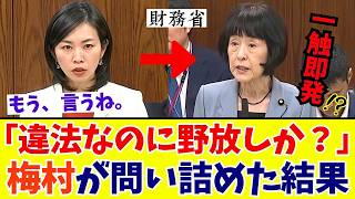 【国会激震】「財務省ついに動くか」日本の景観を壊す“問題業者”を参政党・梅村みずほ議員が完全包囲！8000万の闇と国有地不法占拠【参政党】