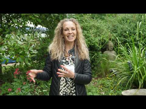 CENTRE SHENYU Miniature vidéo YouTube 21