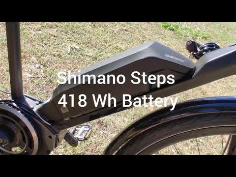 Polygon Path E Pedelec Overview