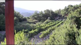 Urla Bagevi Boutique Hotel Introductory Film