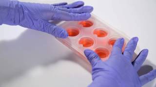 [時事] 爆宜縣府機六弊案 陳金德：堂姐林束梅買