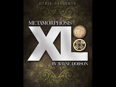 METAMORPHOSIS XL BY WAYNE DOBSON - DAYTONA MAGIC