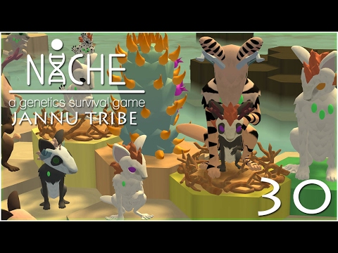 The Joy of Overflowing Nests • Niche: Jannu Tribe - Episode #30