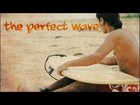 The Perfect Wave  - Sri Krishna