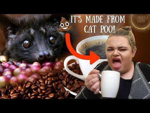 TRYING THE WORLDS MOST EXPENSIVE COFFEE? £600! | IT’S MADE FROM CAT POOP *EW*