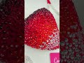 Red Blaze Bikini Competition Suit (B101)