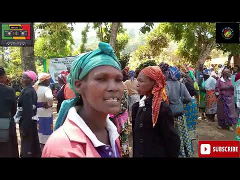 KIBARA KIAMPO - NAOMI - 2023 (LIVE PERFOMANCE)