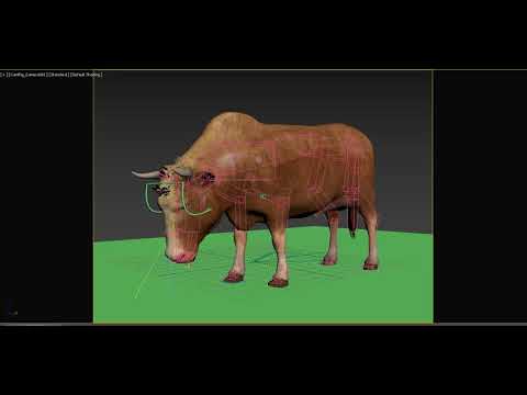 Cow Animation and rig
