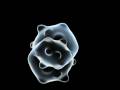 Metaball Cells