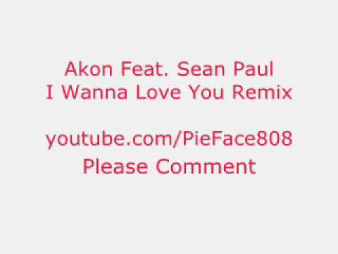 I Wanna Love You Remix by Akon Feat. Sean Paul
