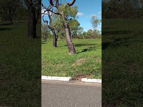 São José da Barra MG