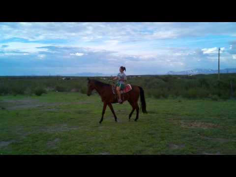 Rimika Riding Santiago 1