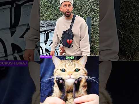 give this video title 🤯#9 (warning answer)#cat #meme #dance