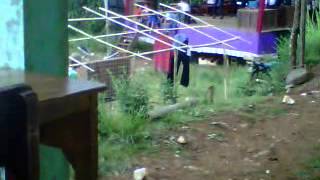 Download lagu Dangdut samen sd ciomas mp3