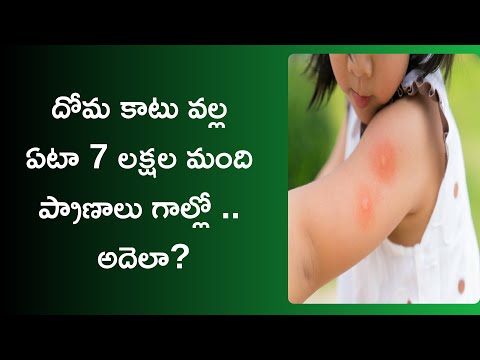 diseases due to mosquitoes telugu
