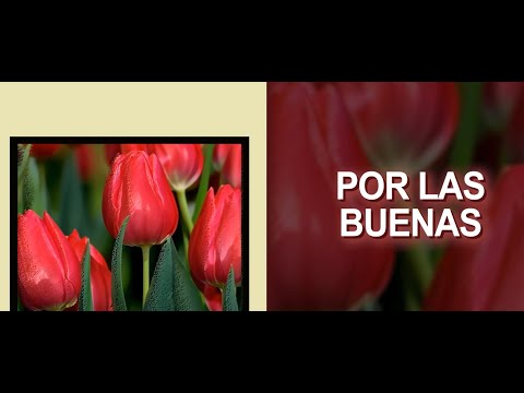 Billo's Caracas Boys - Por Las Buenas (Letra Oficial)