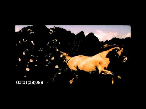 Gierlach Kon Pajak- Ja Juz Dobrze Ku***rwa Wiem