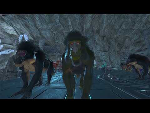 GANG GANG Breeder Monkey-shadowmane-Giga  | Ark Official PVP 🍭