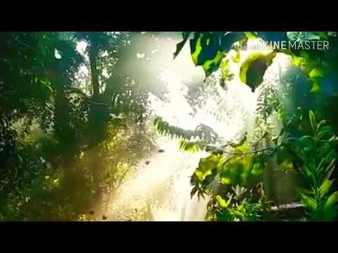 O kogile Naa haadale ..