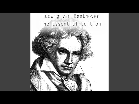 download lagu mp3 mp4 Mozart W A Symphonies Nos 5 35 40 41 Beeethoven L Van Overtures Gli Anni Della Maturita In America Vol 3 Toscanini 1929 1946, download mp3 Mozart W A Symphonies Nos 5 35 40 41 Beeethoven L Van Overtures Gli Anni Della Maturita In America Vol 3 Toscanini 1929 1946 free downloadn, video klip Mozart W A Symphonies Nos 5 35 40 41 Beeethoven L Van Overtures Gli Anni Della Maturita In America Vol 3 Toscanini 1929 1946
