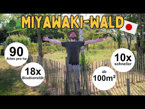 Wald in nur wenigen Jahren? Die Geheimnisse der Miyawaki-Methode! 🌳