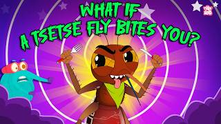 Deadliest Insect | What if Tsetse Fly Bites You? | How Tsetse Fly Transmit Disease? | Dr Binocs Show