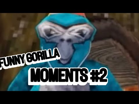 Funny gorilla tag moments #2