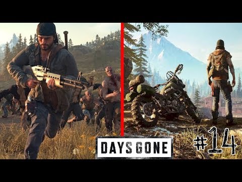 Zagrajmy w Days Gone [PL] odc.14 - Obóz wypadowy przy jaskiniach Belknap(Sprawdź opis)