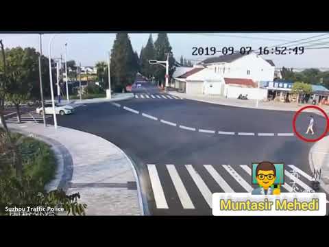 🐕 Dog teach us how to walk on the Road.😂