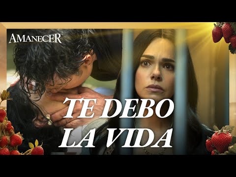 Alba descubre que Leonel le salvó la vida | Amanecer 1/4 | Capítulo 35