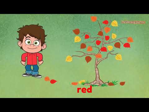 Orange, Yellow, Red and Brown Seasons Songs for Kid Kids Color Songs By The Learning Station online