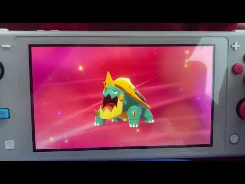 Pokémon Sword-Chewtle evolves into Drednaw