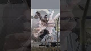 The Most Surreal Holiday Photo | Fascinating Horror Shorts