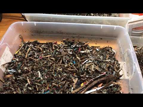 Perpetual Horizontal Migration start to finish.