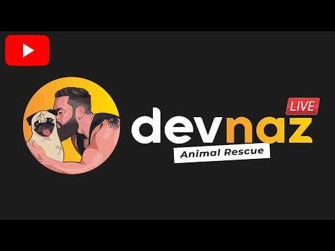 Thumbnail for 🔴[ LIVE ] Abandoned puppies by R.E.M., Live (band)